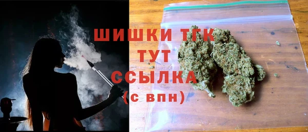 стаф Инта