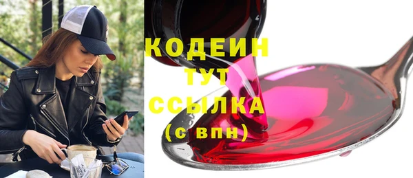 стаф Инта