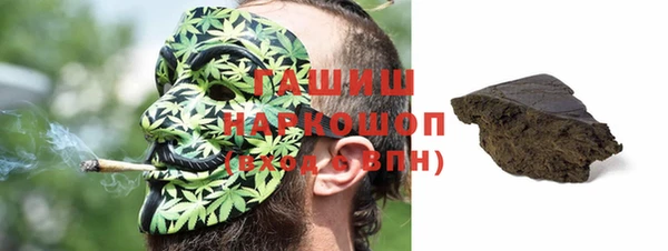 стаф Инта