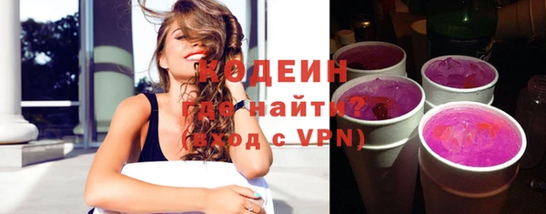 стаф Инта