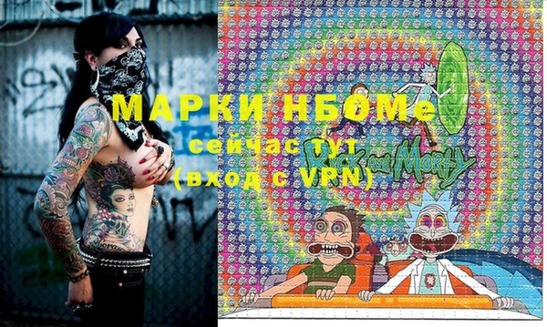 стаф Инта