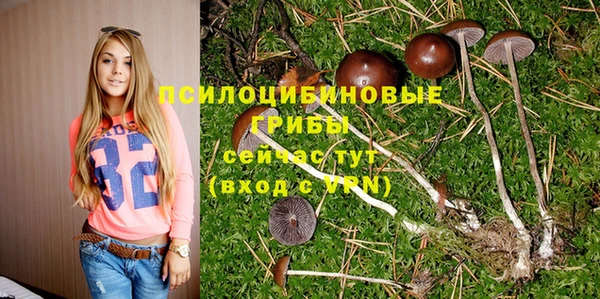 герыч Инсар