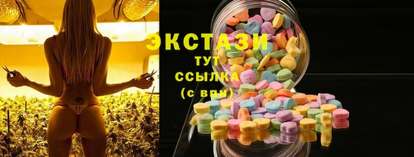 стаф Инта