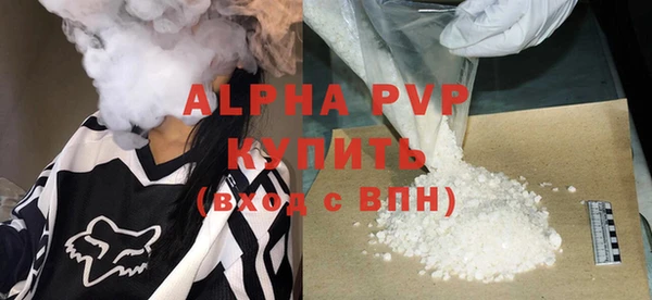 стаф Инта