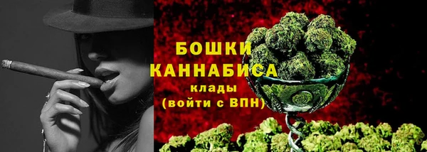 стаф Инта